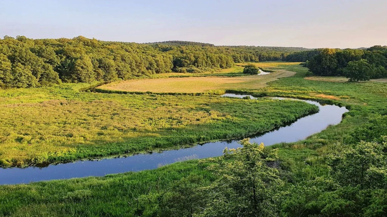 Photo of Others in Ljungbyhed