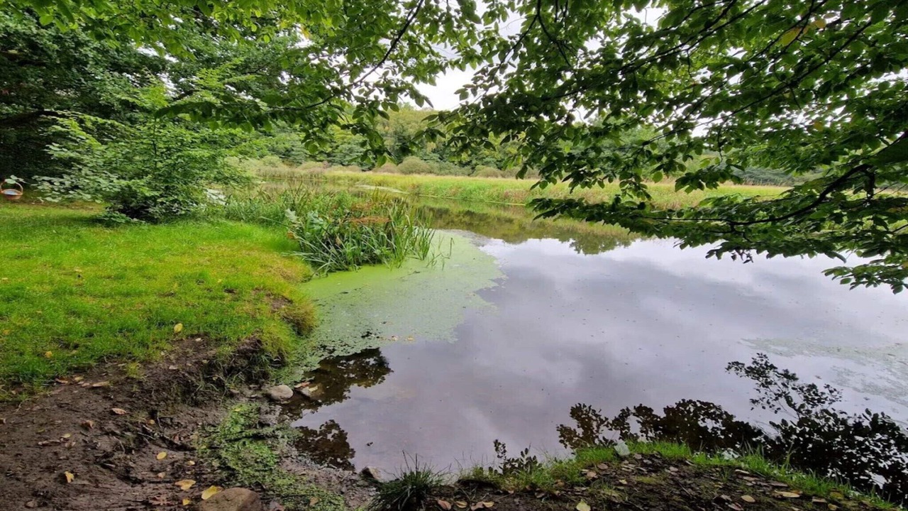 Photo of Others in Ljungbyhed