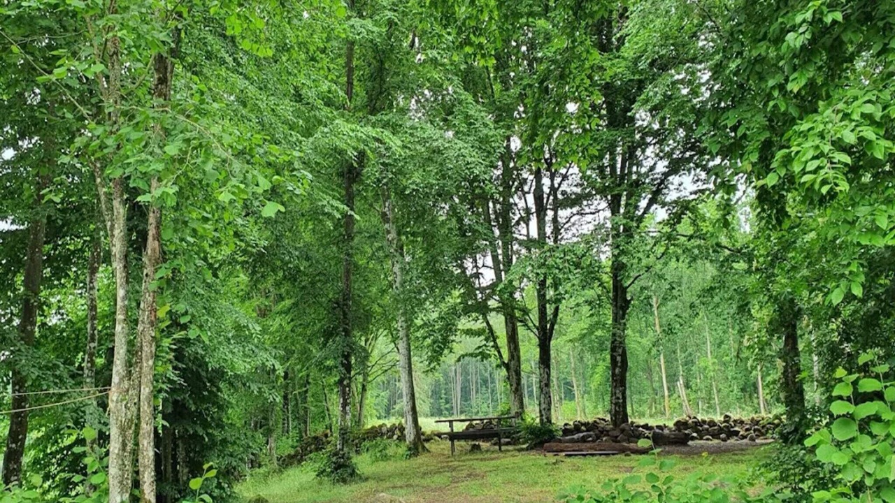Photo of Others in Ljungbyhed