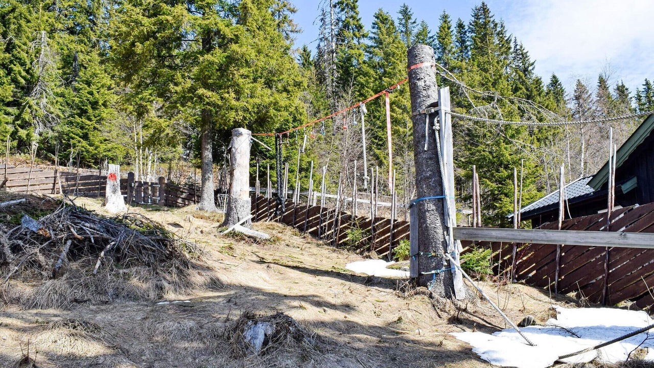 Photo of Outdoor in Hurdal