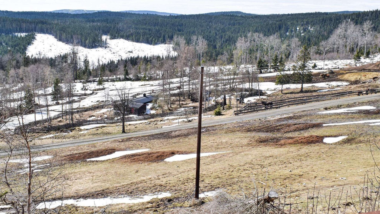 Photo of Others in Hurdal