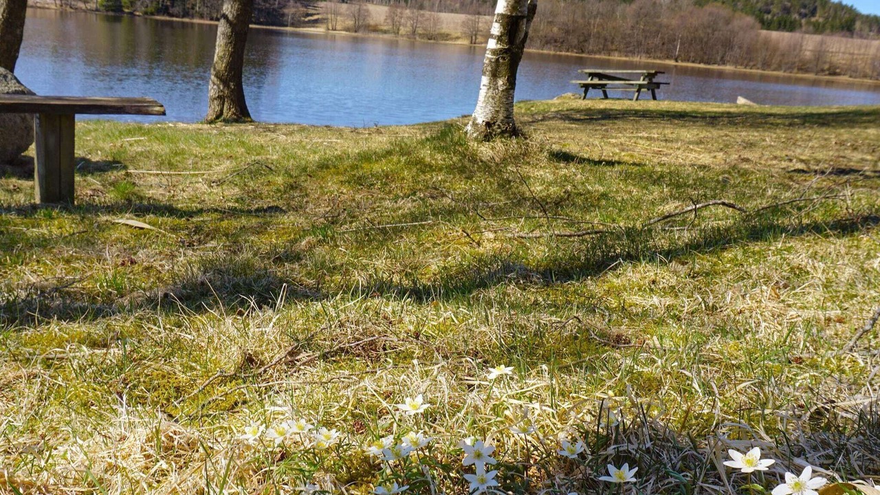 Photo of Others in Munkedal Municipality