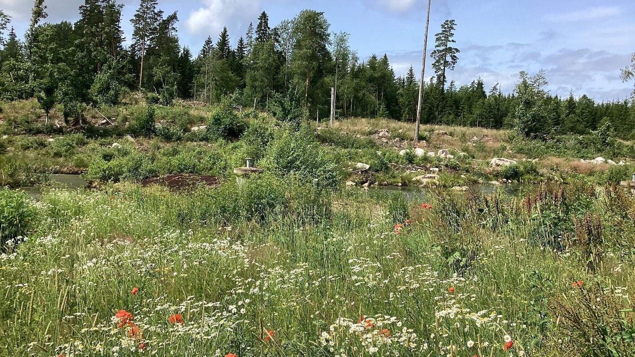 Photo of Outdoor in Tranas Municipality