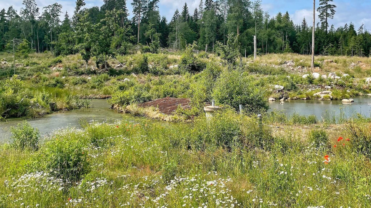 Photo of Outdoor in Tranas Municipality