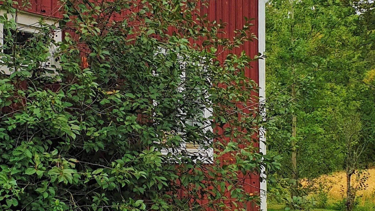 Photo of Outdoor in Jarvso