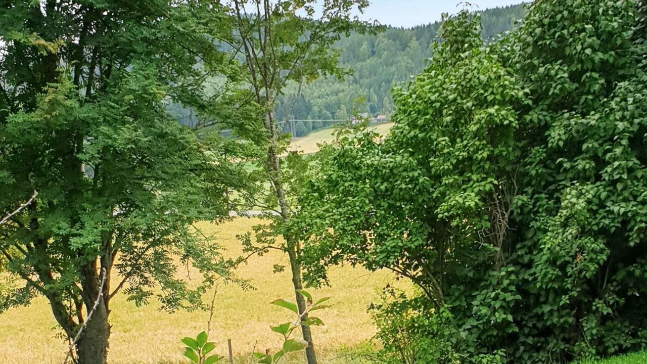 Photo of Outdoor in Jarvso