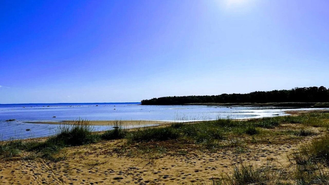 Photo of Others in Halmstad