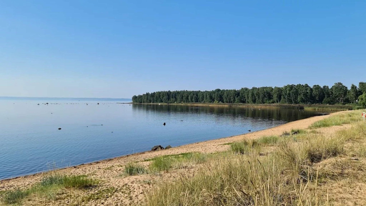 Photo of Others in Halmstad