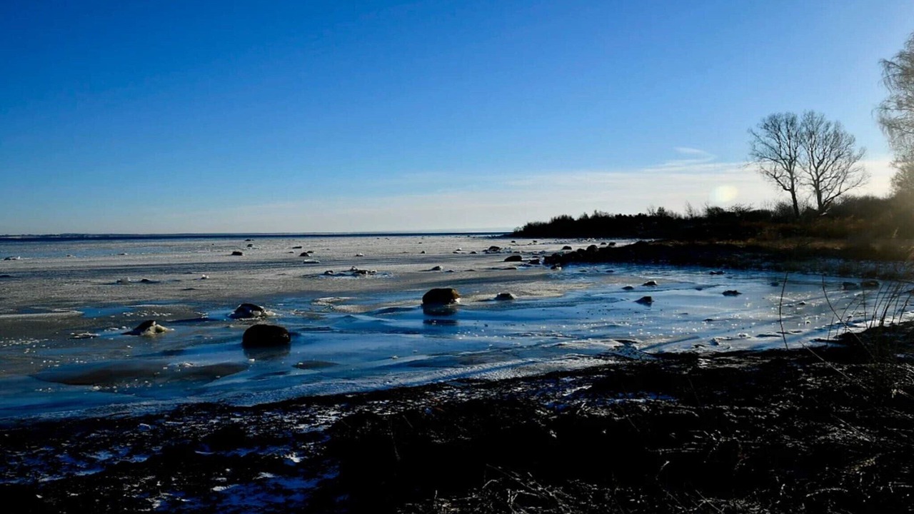 Photo of Others in Halmstad