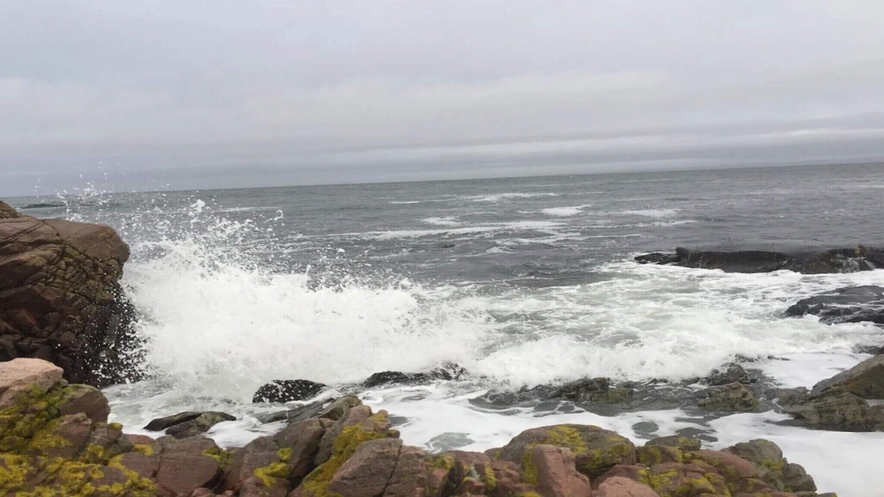 Photo of Others in Arild