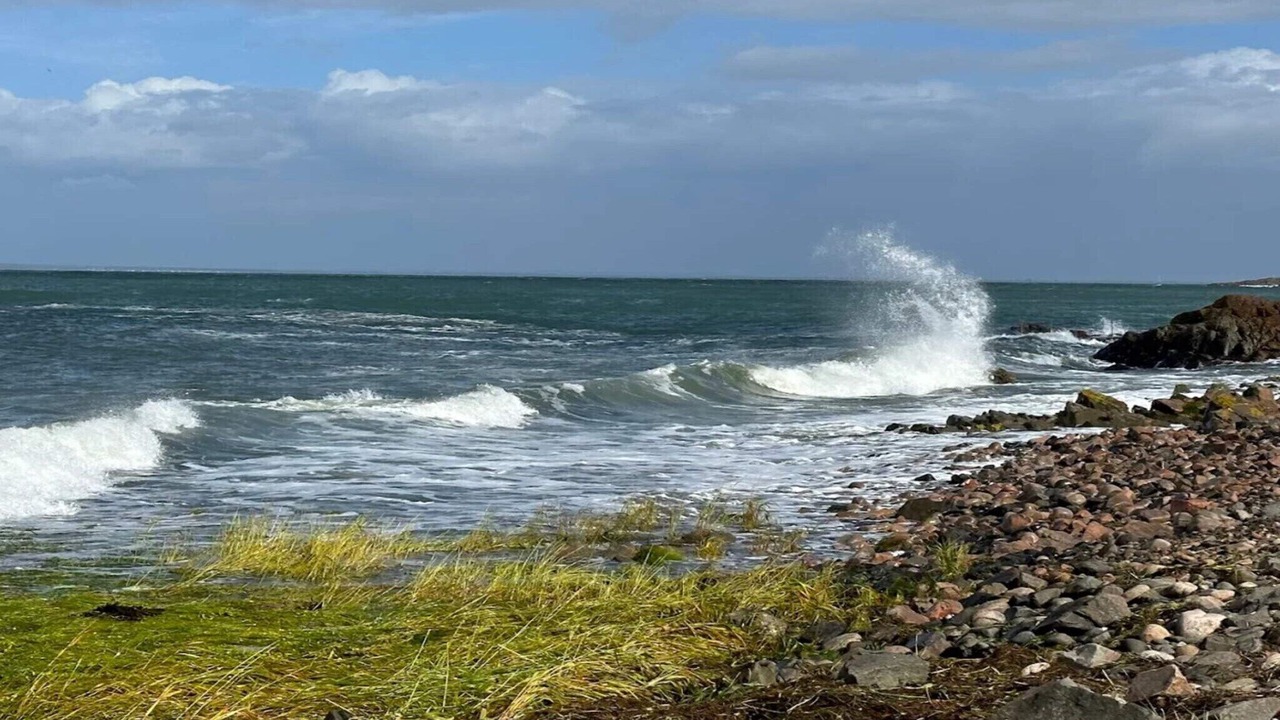 Photo of Others in Arild