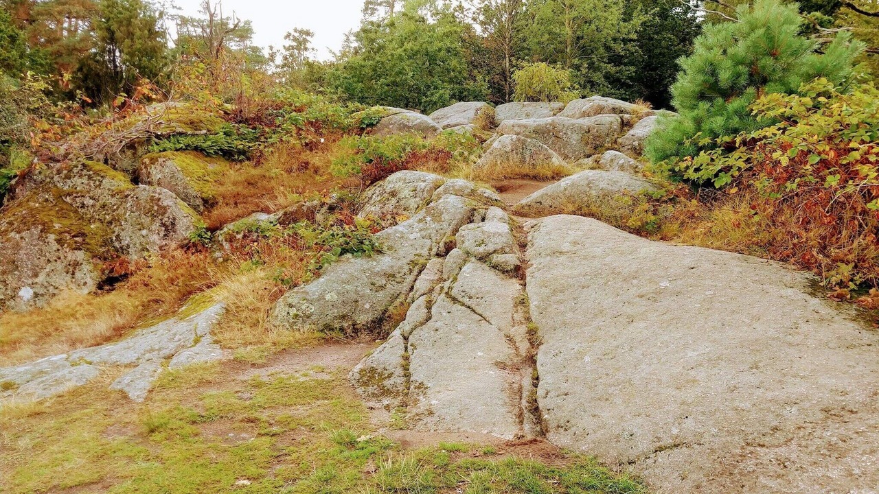 Photo of Others in Olofstrom