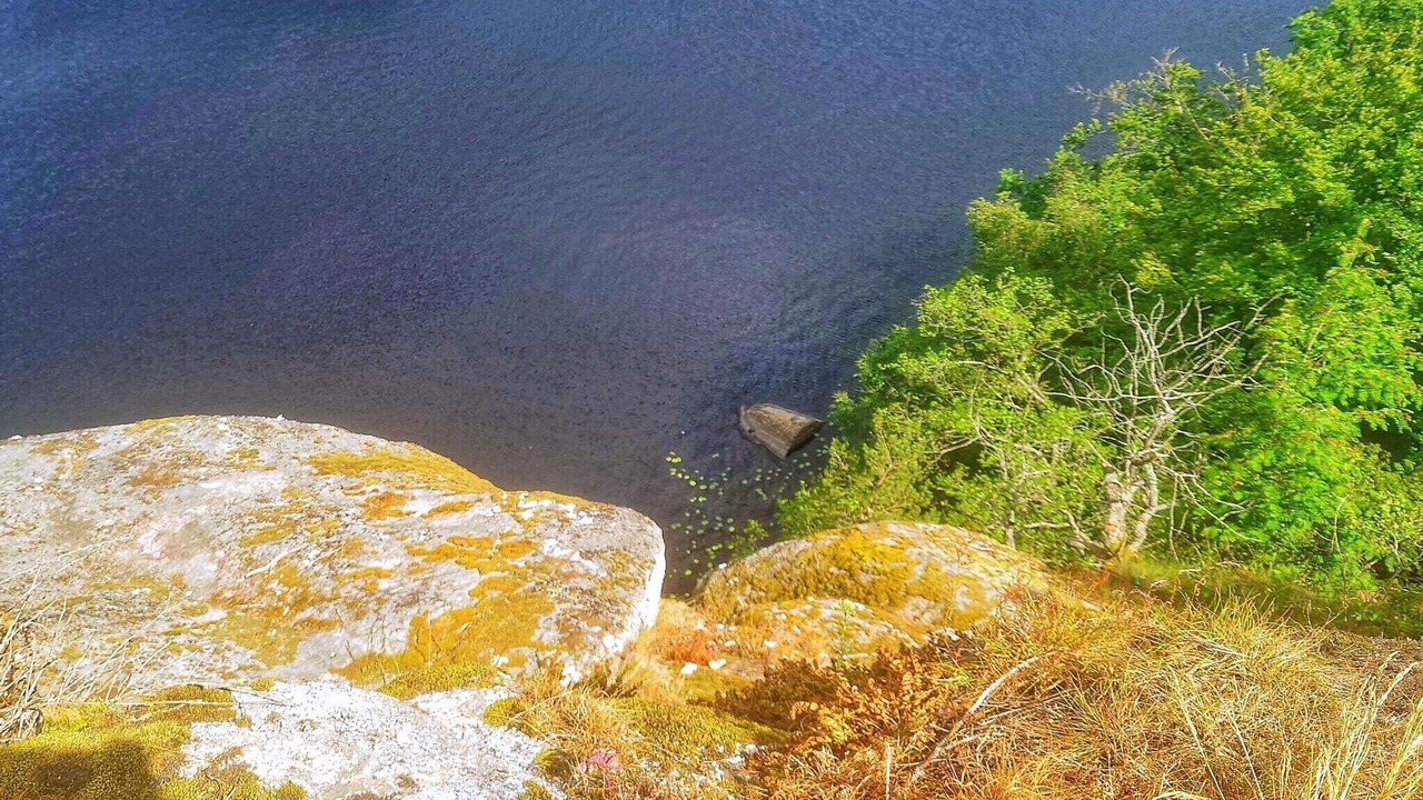 Photo of Others in Olofstrom