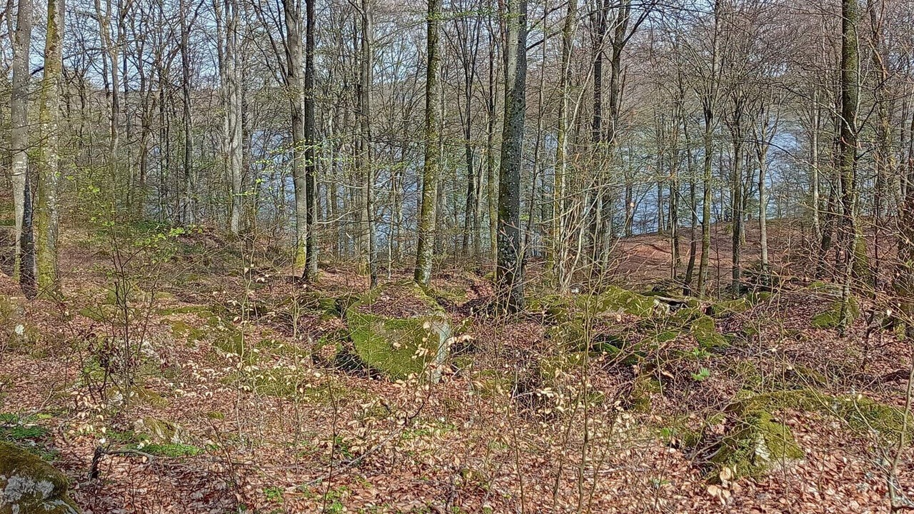 Photo of Others in Olofstrom