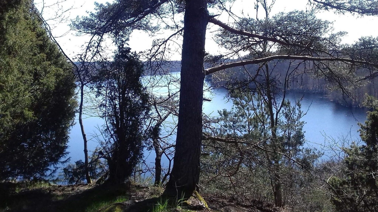 Photo of Others in Olofstrom