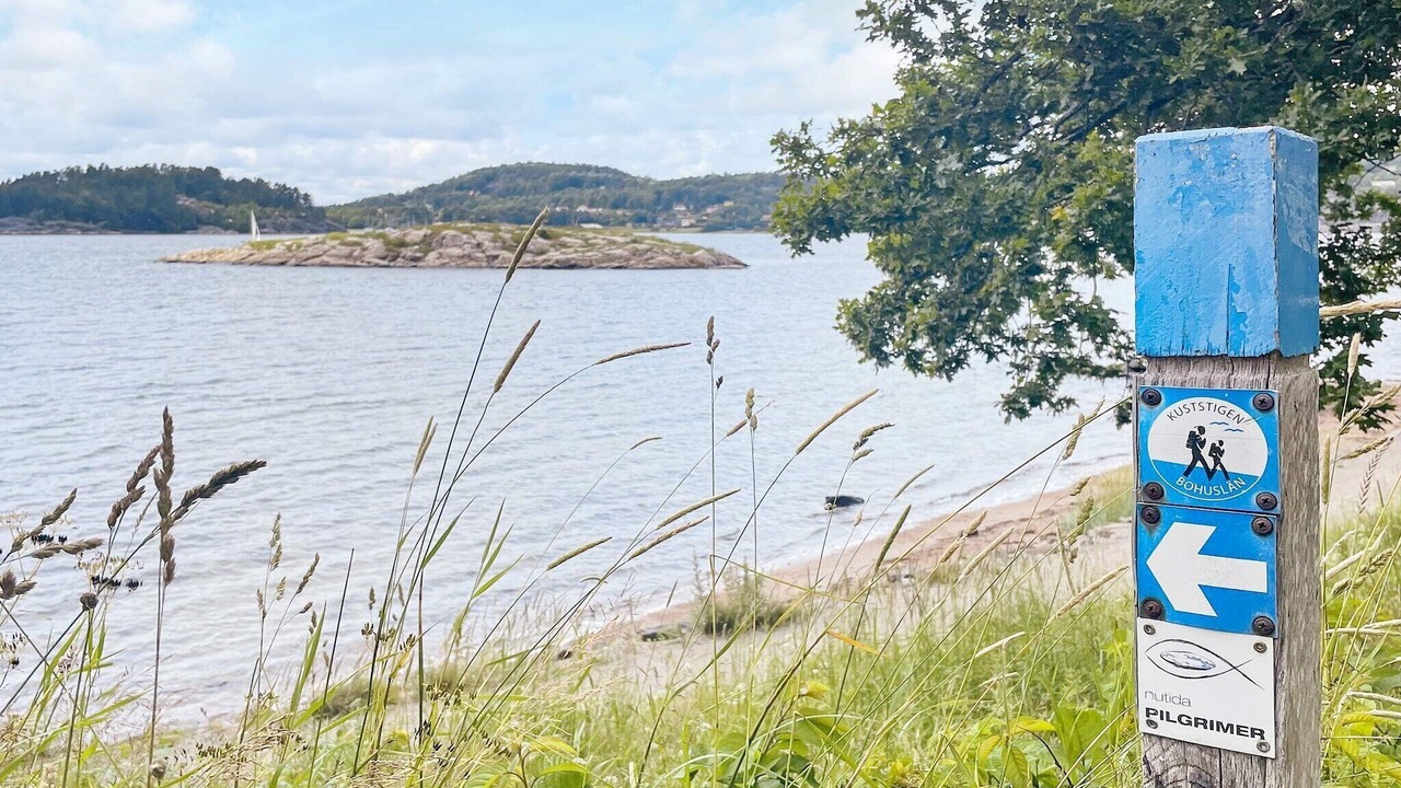 Photo of Others in Ljungskile