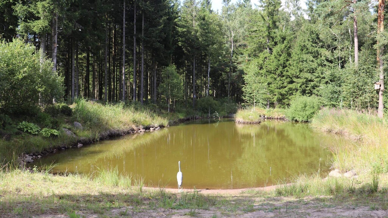 Photo of Outdoor in Simlangsdalen