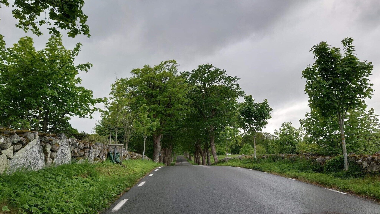 Photo of Others in Everod