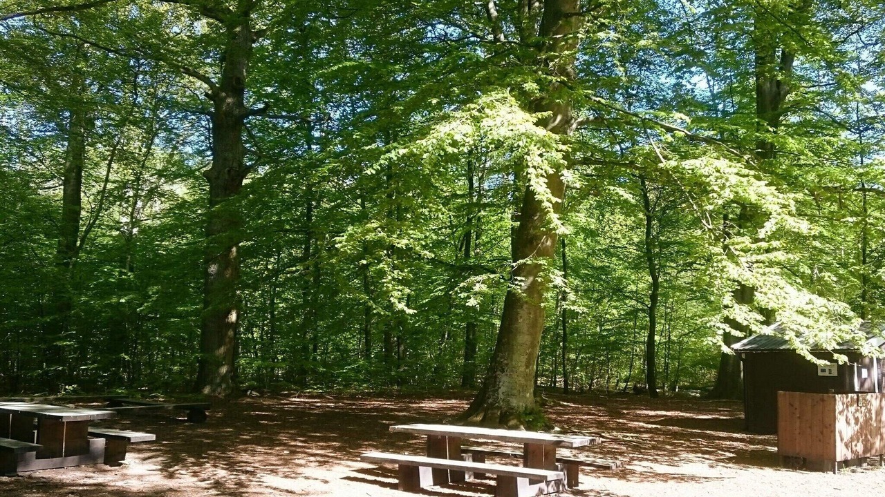 Photo of Outdoor in Everod