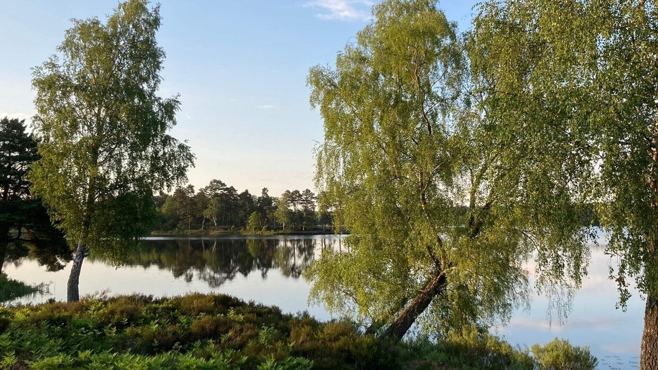 Photo of Others in Markaryd