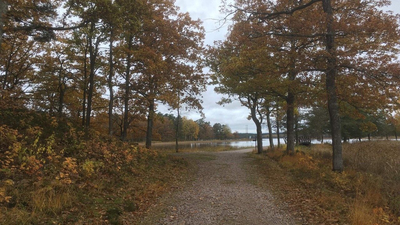 Photo of Others in Markaryd