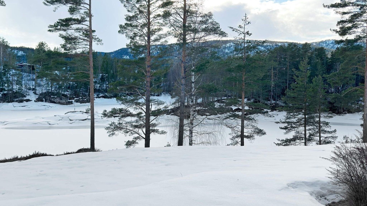 Photo of Others in Drangedal