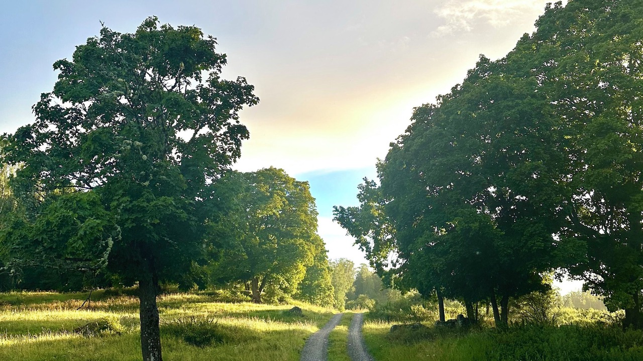 Photo of Outdoor in Eskilstuna Municipality