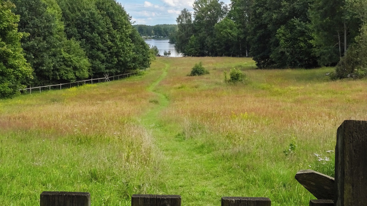 Photo of Others in Växjö