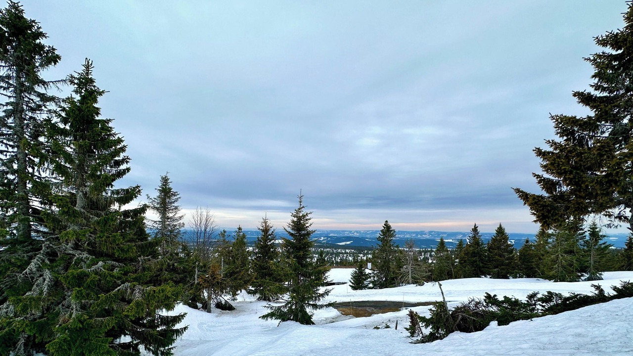 Photo of Others in Sjusjoen