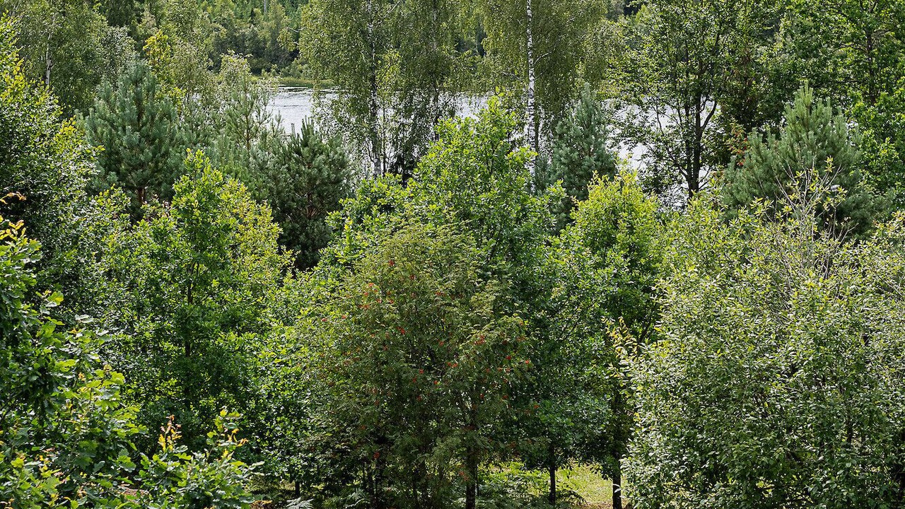 Photo of Outdoor in Vissefjaerda