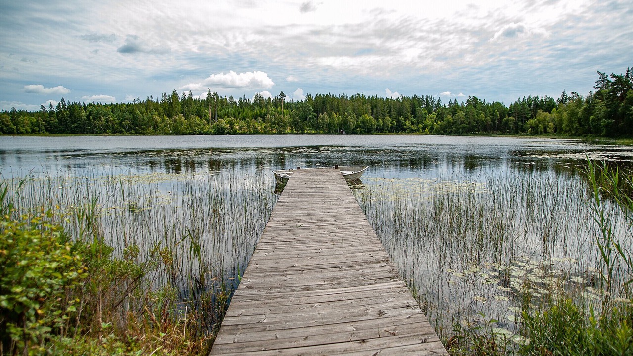 Photo of Others in Vissefjaerda
