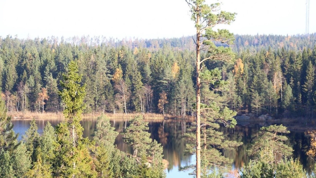 Photo of Others in Backefors