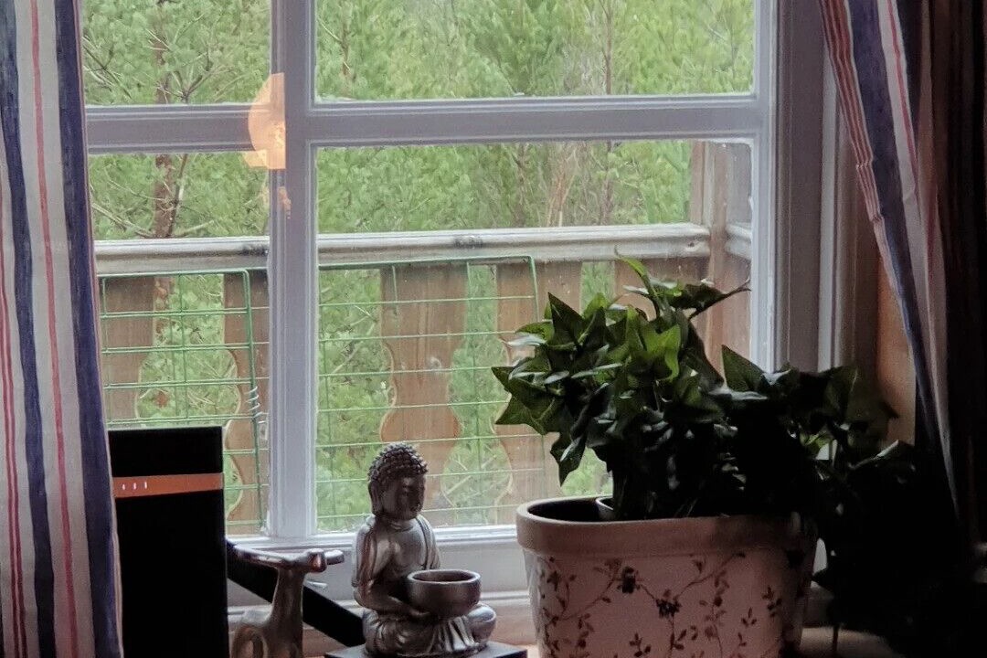 Photo of Others in Backefors