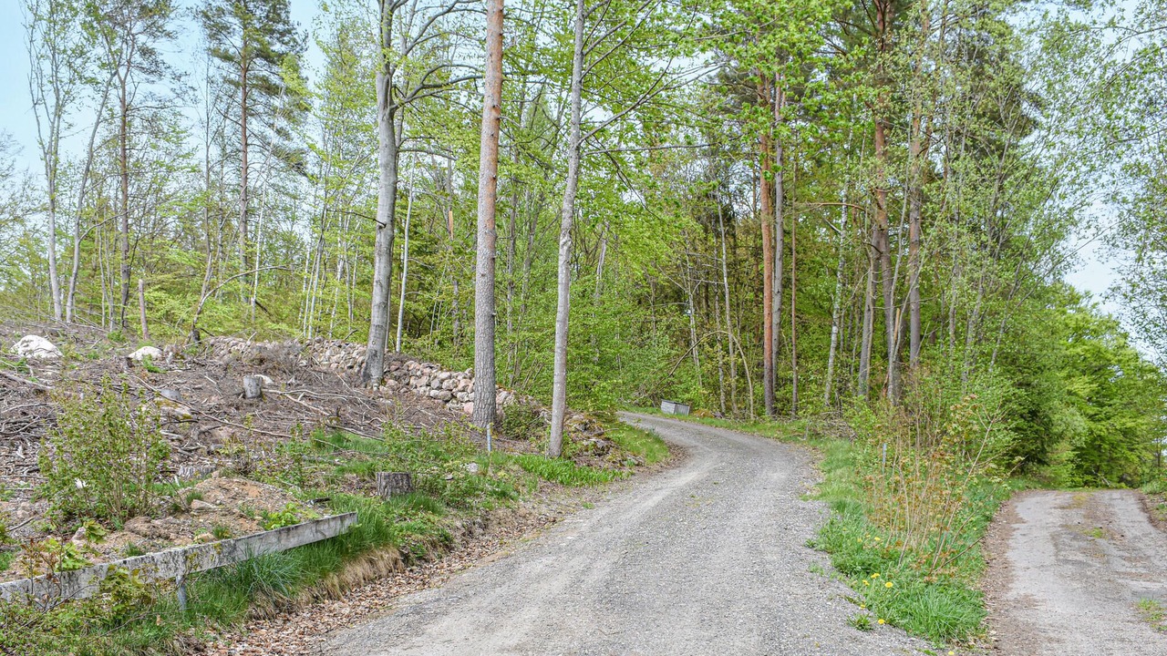 Photo of Others in Vassmolösa