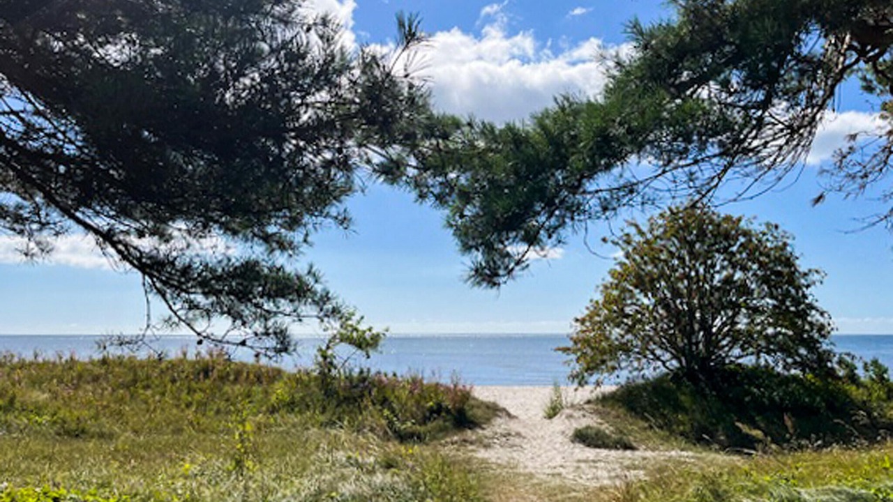 Photo of Others in Beddingestrand