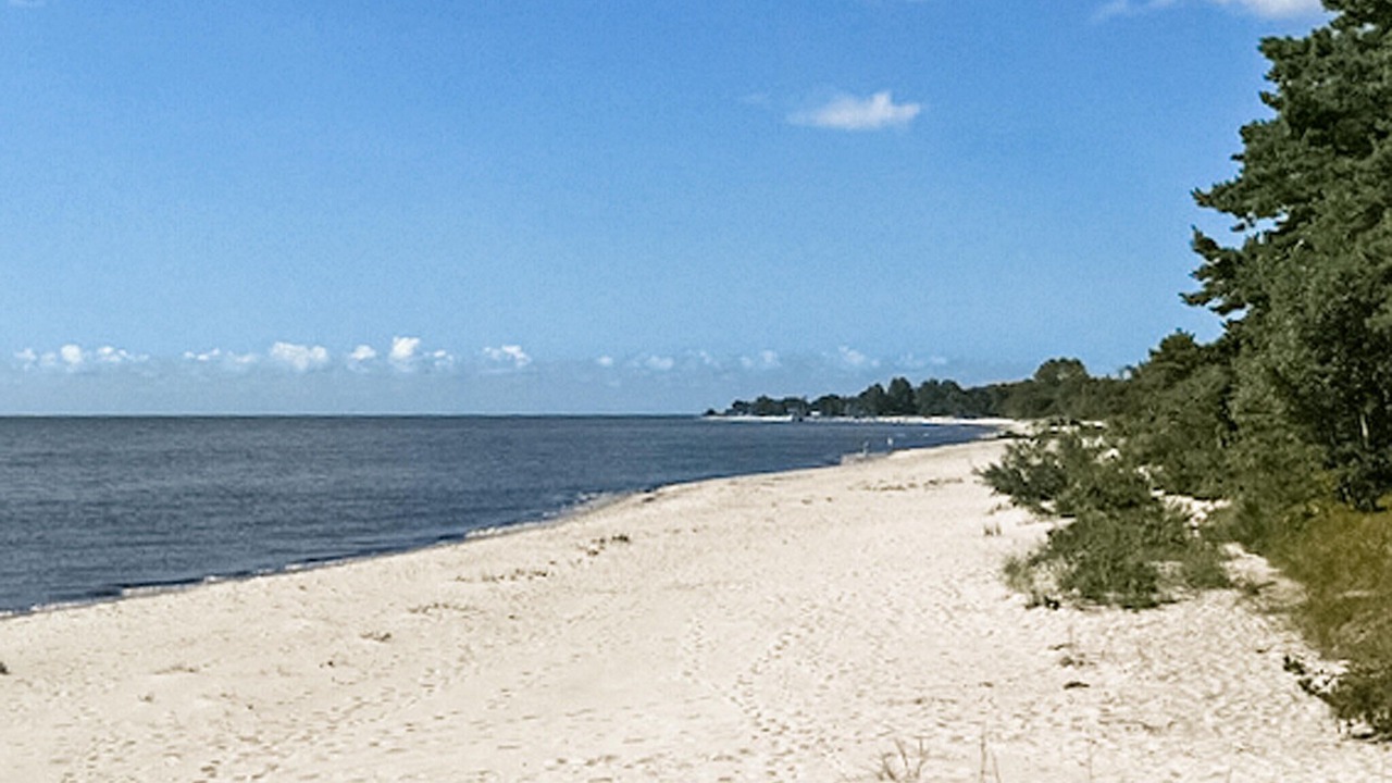 Photo of Others in Beddingestrand