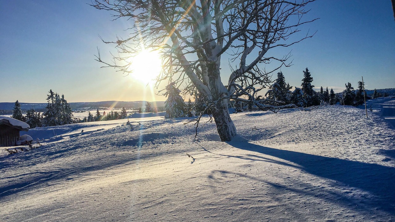 Photo of Others in Sjusjoen