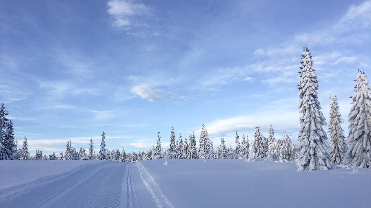 Photo of Others in Sjusjoen
