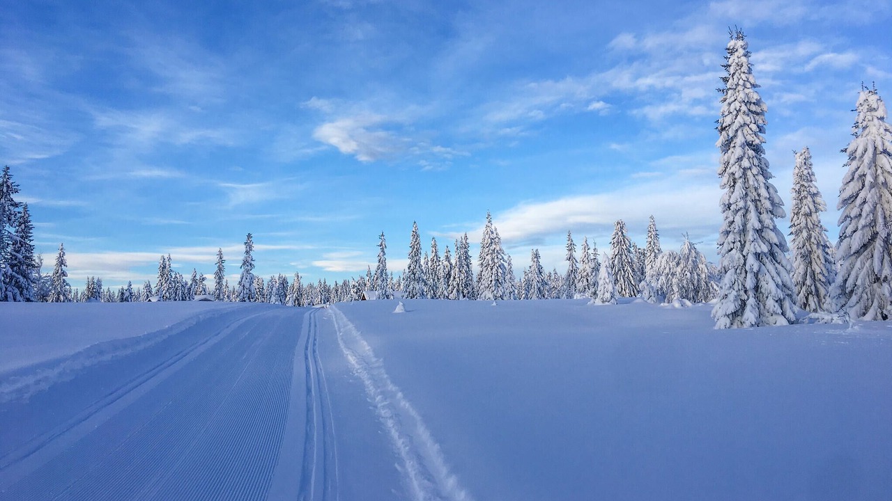 Photo of Others in Sjusjoen