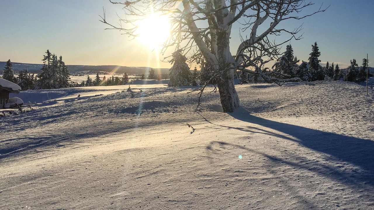 Photo of Others in Sjusjoen