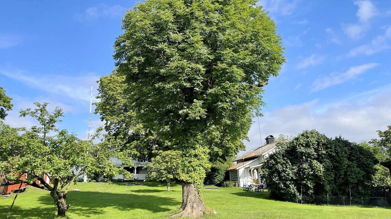 Photo of Outdoor in Bjorko