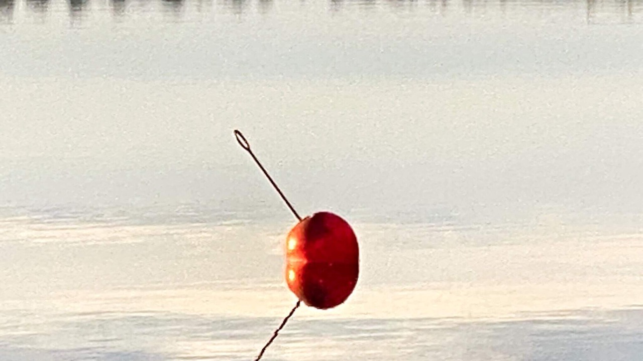 Photo of Outdoor in Tronodal