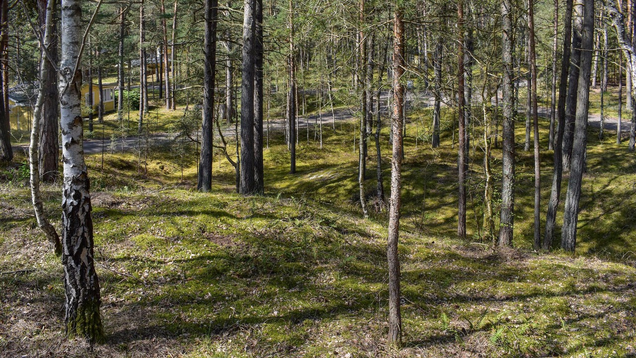 Photo of Others in Yngsjo