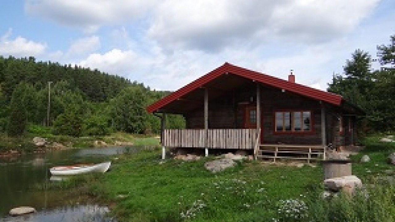 Photo of Outdoor in Horn