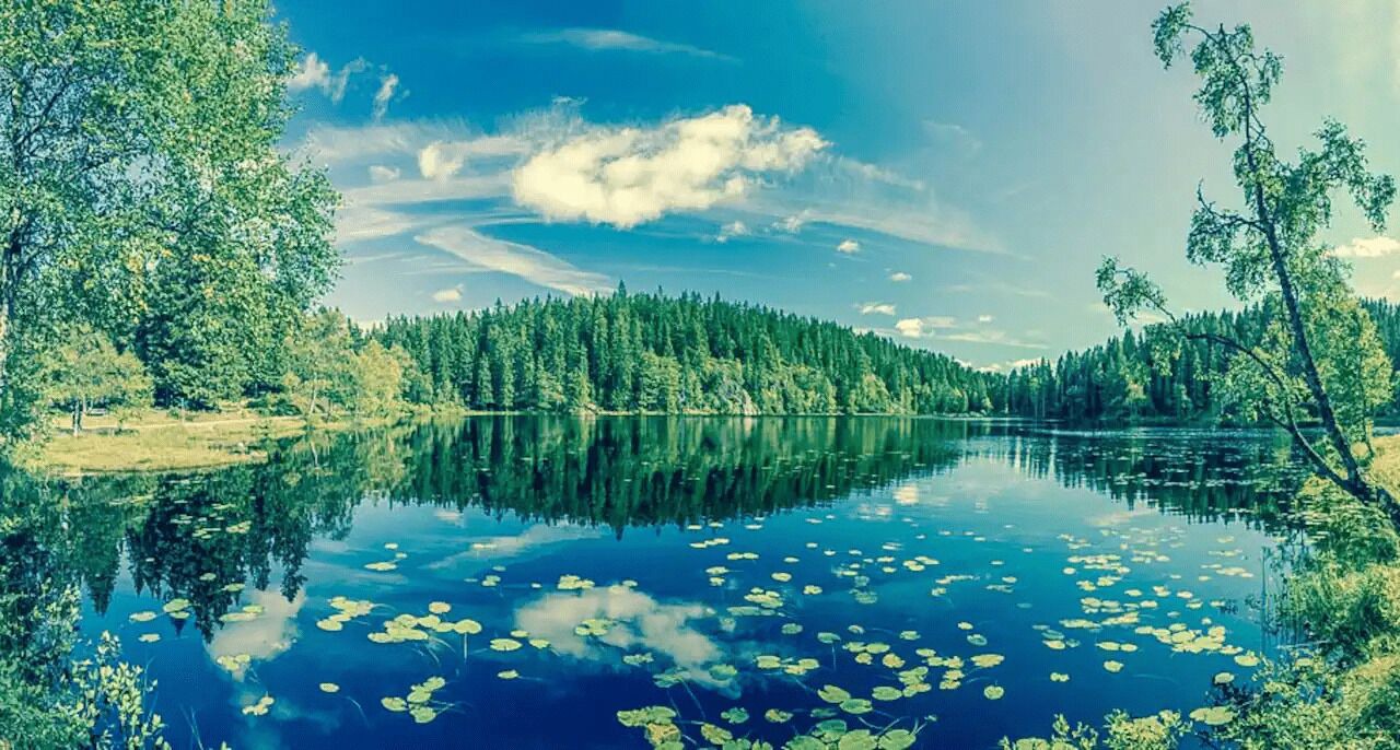 Photo of Outdoor in Oslo