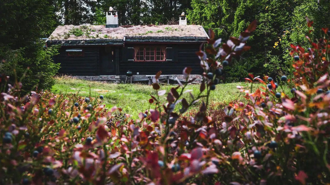Photo of Outdoor in Oslo