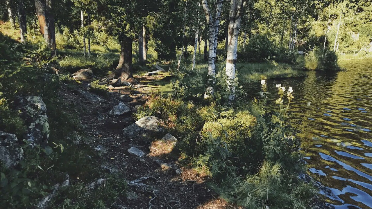 Photo of Outdoor in Oslo