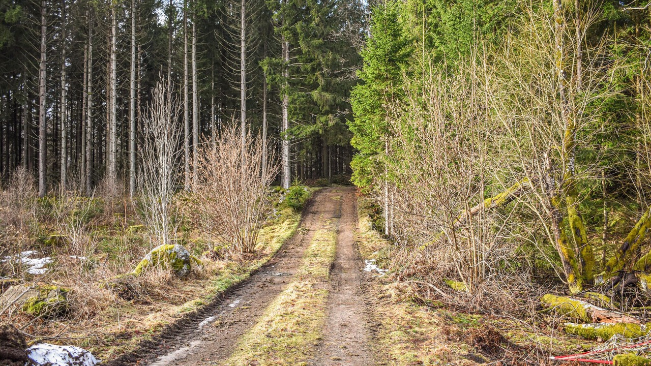 Photo of Others in Linderod