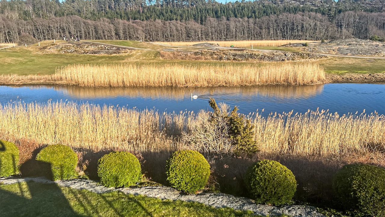 Photo of Bedroom in Fjallbacka