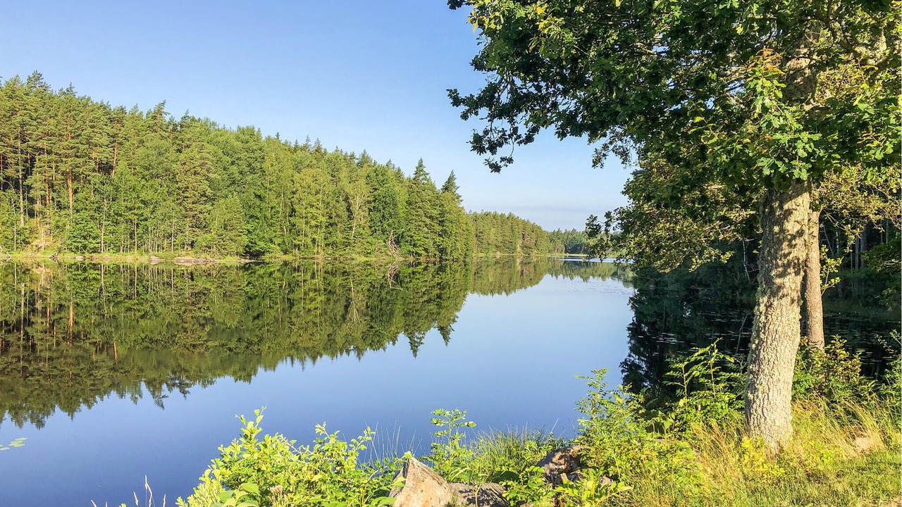 Photo of Others in Oskarshamn Municipality